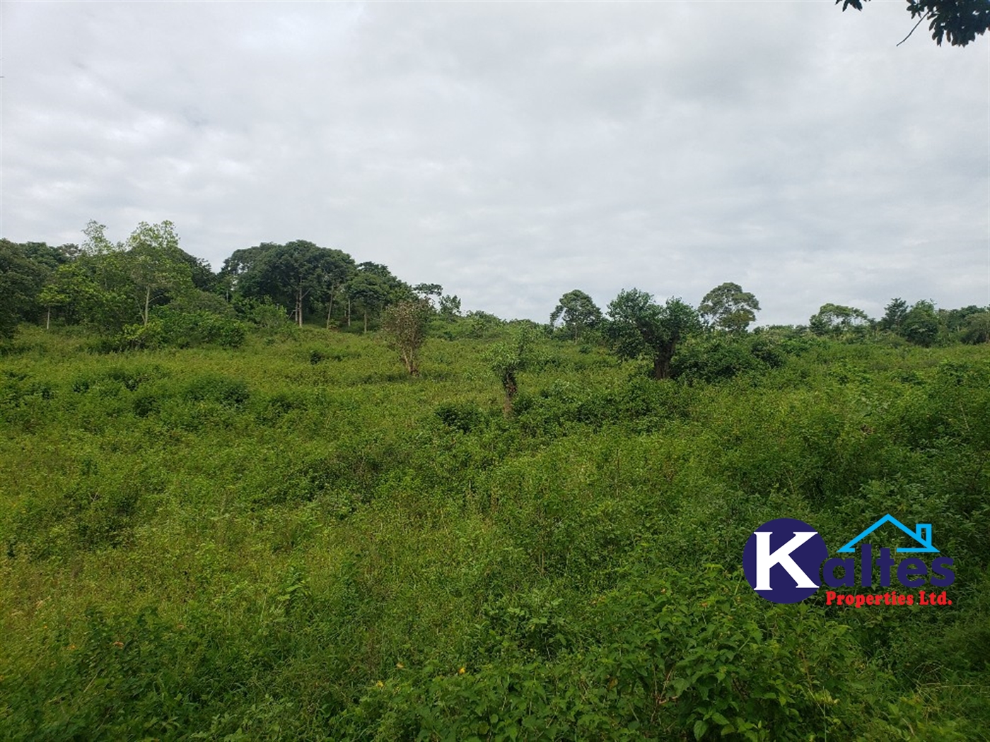 Agricultural Land for sale in Katosi Mukono