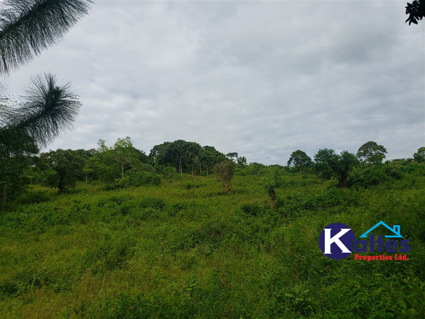 Agricultural Land for sale in Katosi Mukono