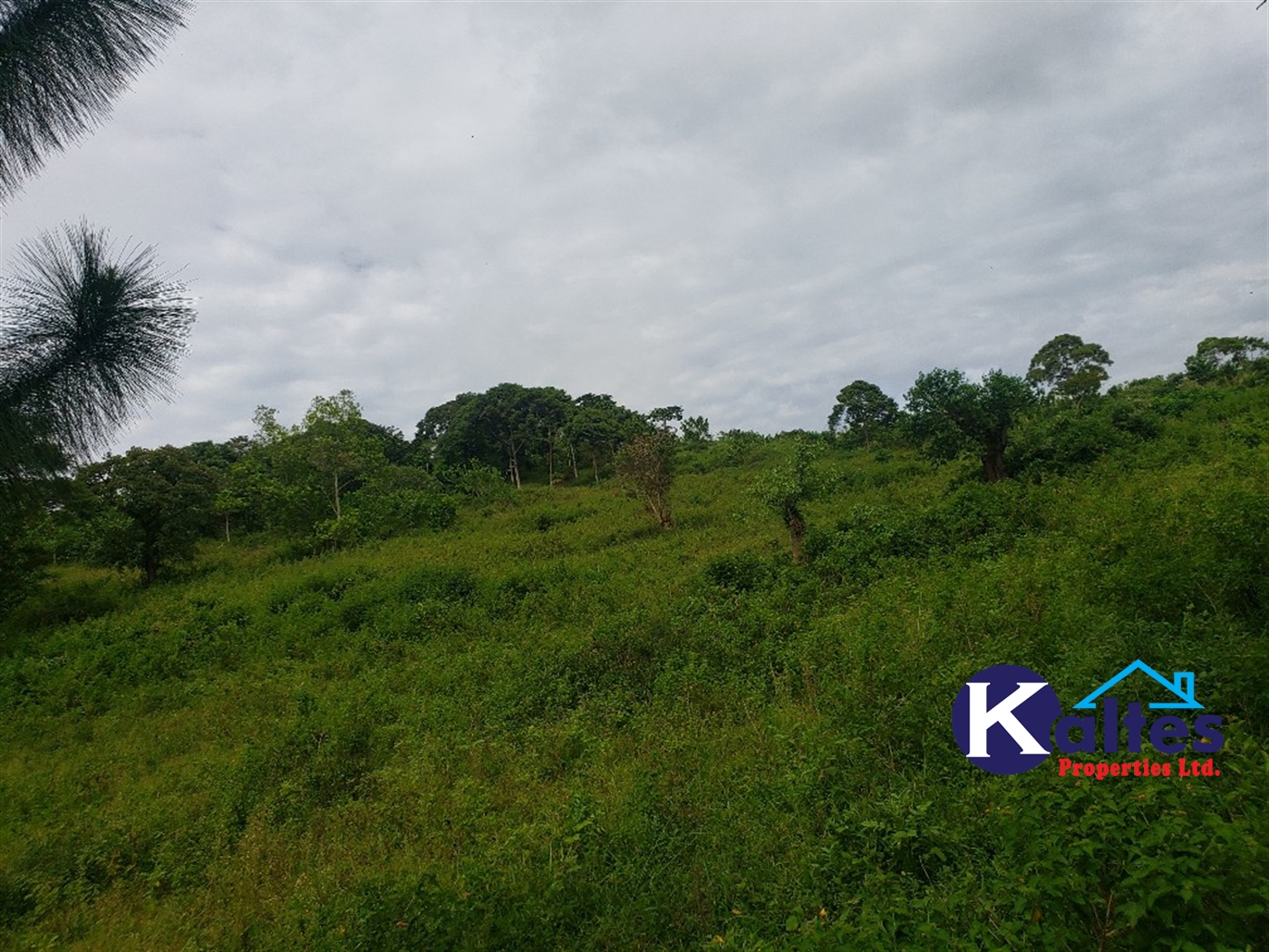 Agricultural Land for sale in Katosi Mukono