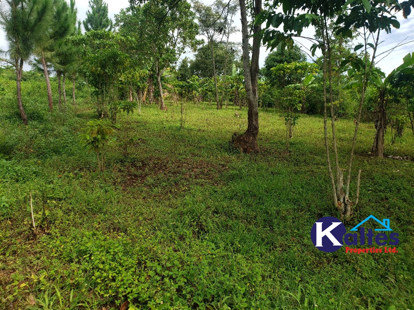 Agricultural Land for sale in Katosi Mukono