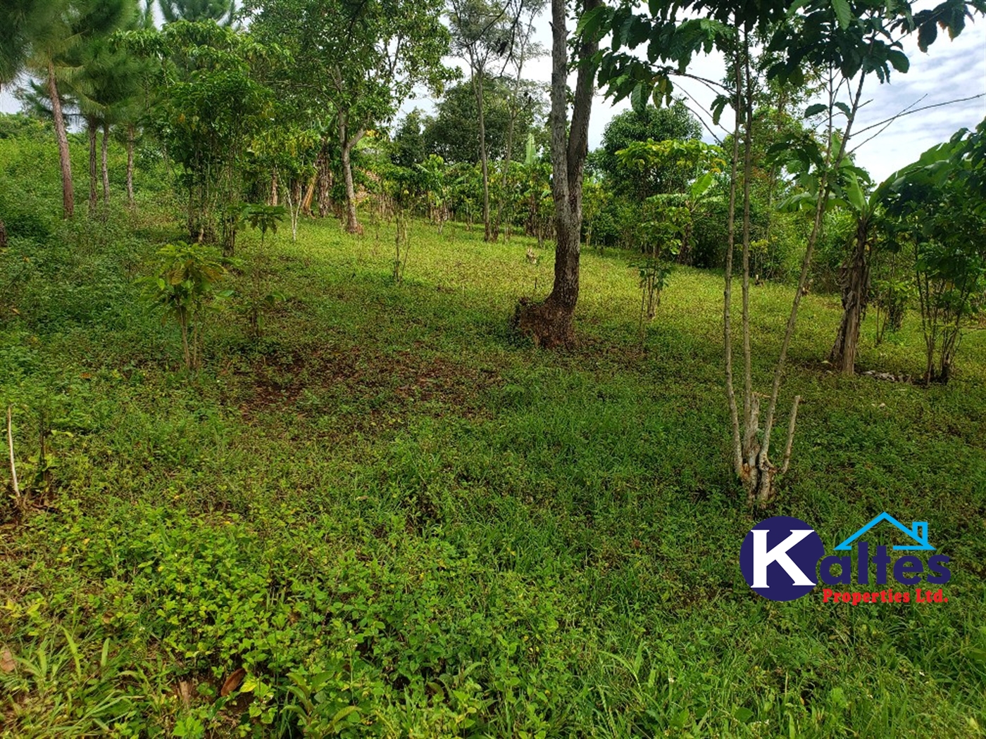 Agricultural Land for sale in Katosi Mukono