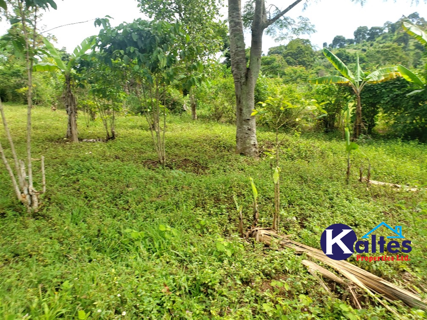 Agricultural Land for sale in Katosi Mukono