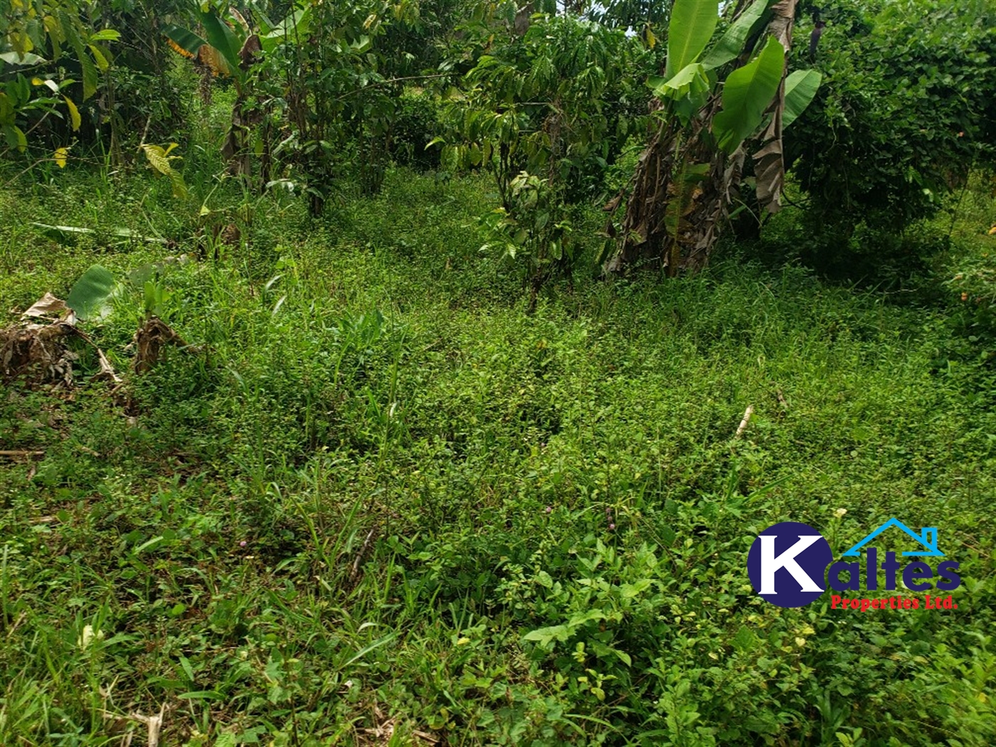 Agricultural Land for sale in Katosi Mukono