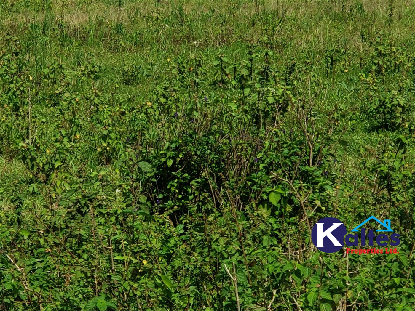 Agricultural Land for sale in Katosi Mukono