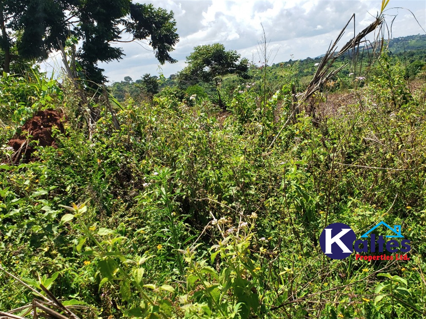 Agricultural Land for sale in Katosi Mukono