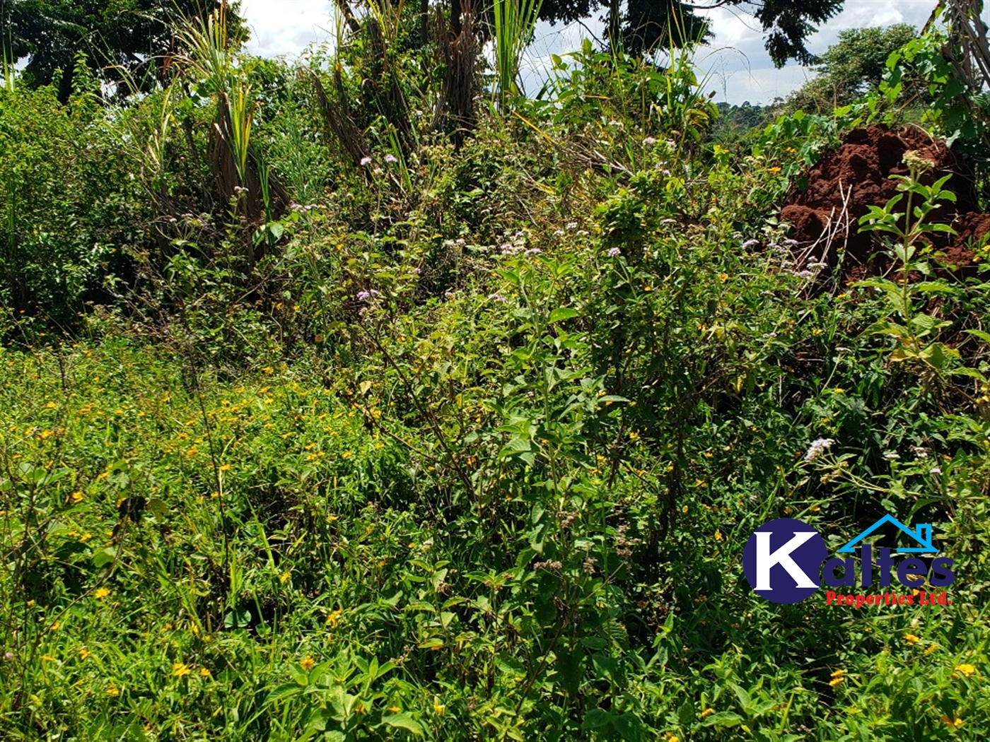 Agricultural Land for sale in Katosi Mukono