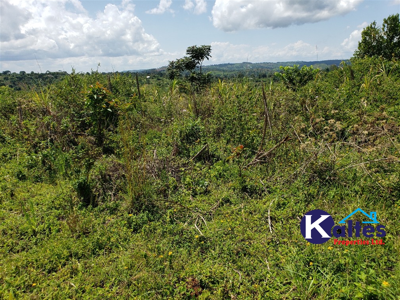 Agricultural Land for sale in Katosi Mukono