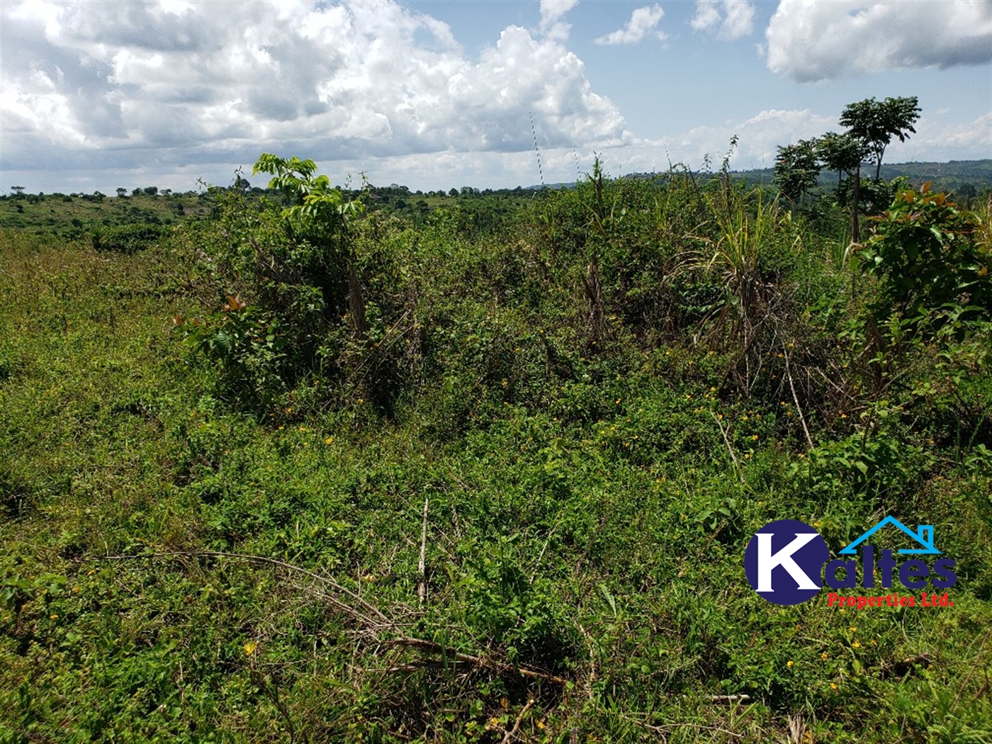 Agricultural Land for sale in Katosi Mukono