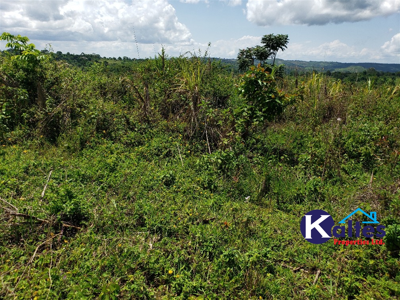 Agricultural Land for sale in Katosi Mukono