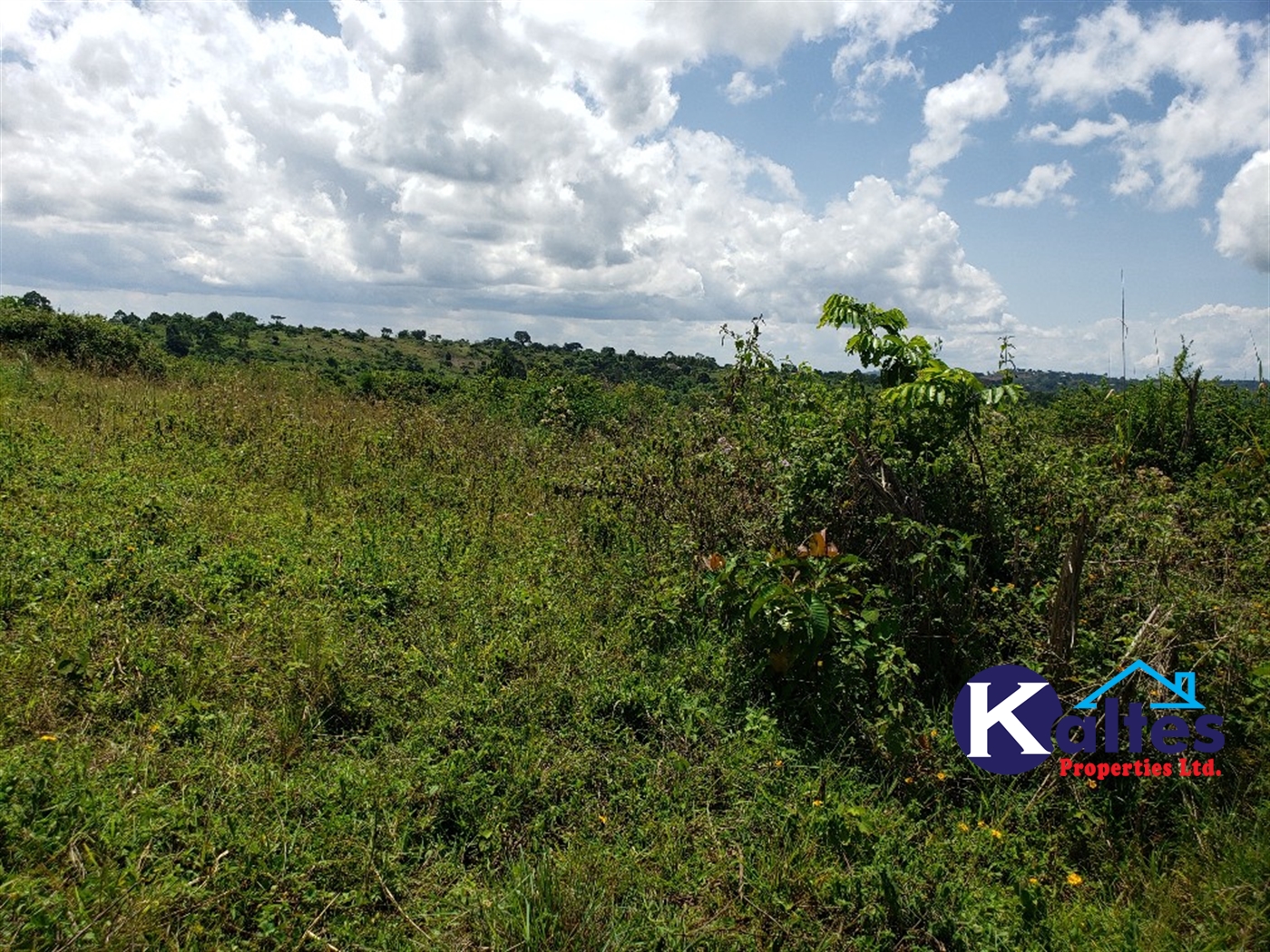 Agricultural Land for sale in Katosi Mukono