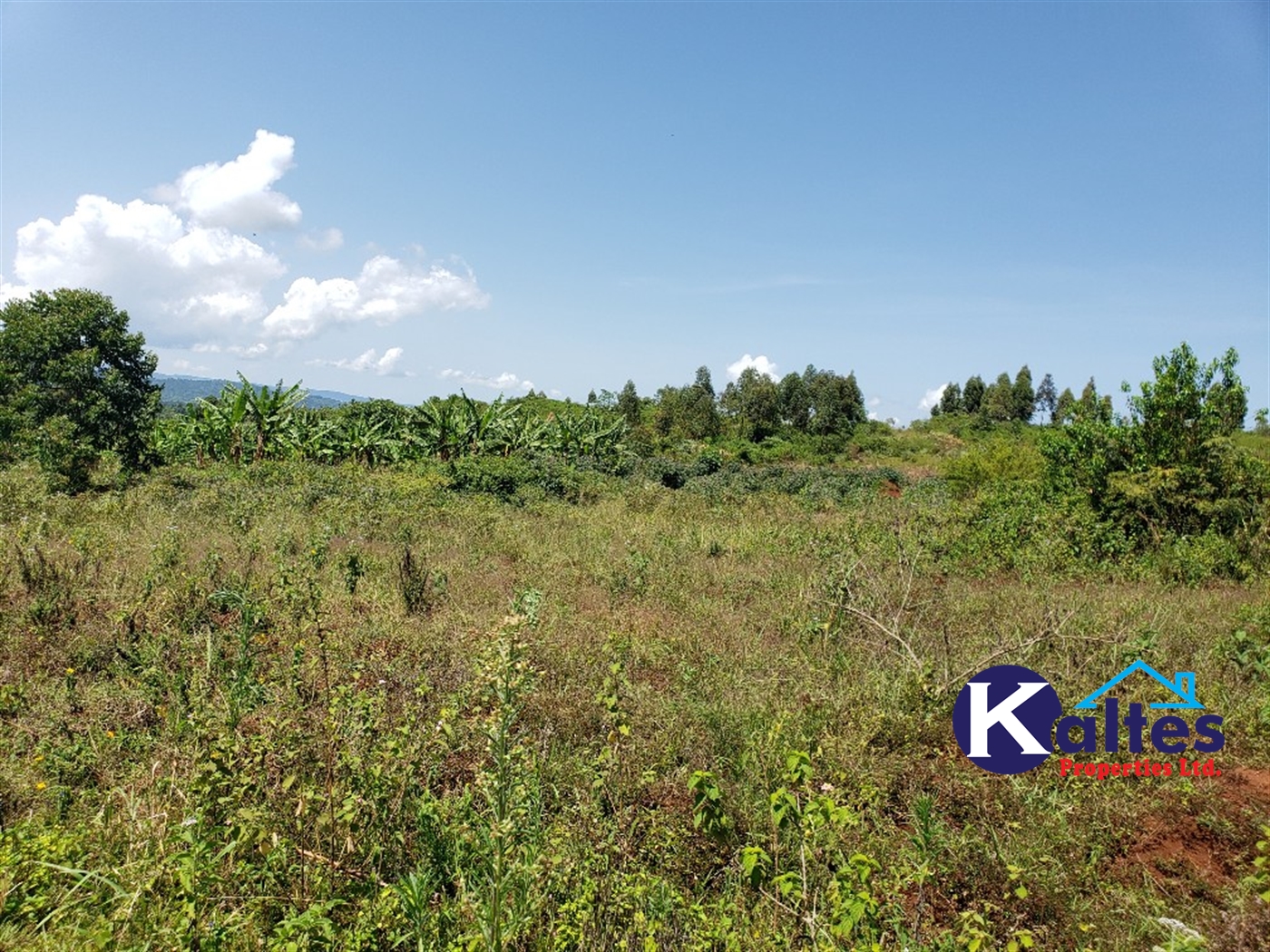 Agricultural Land for sale in Katosi Mukono