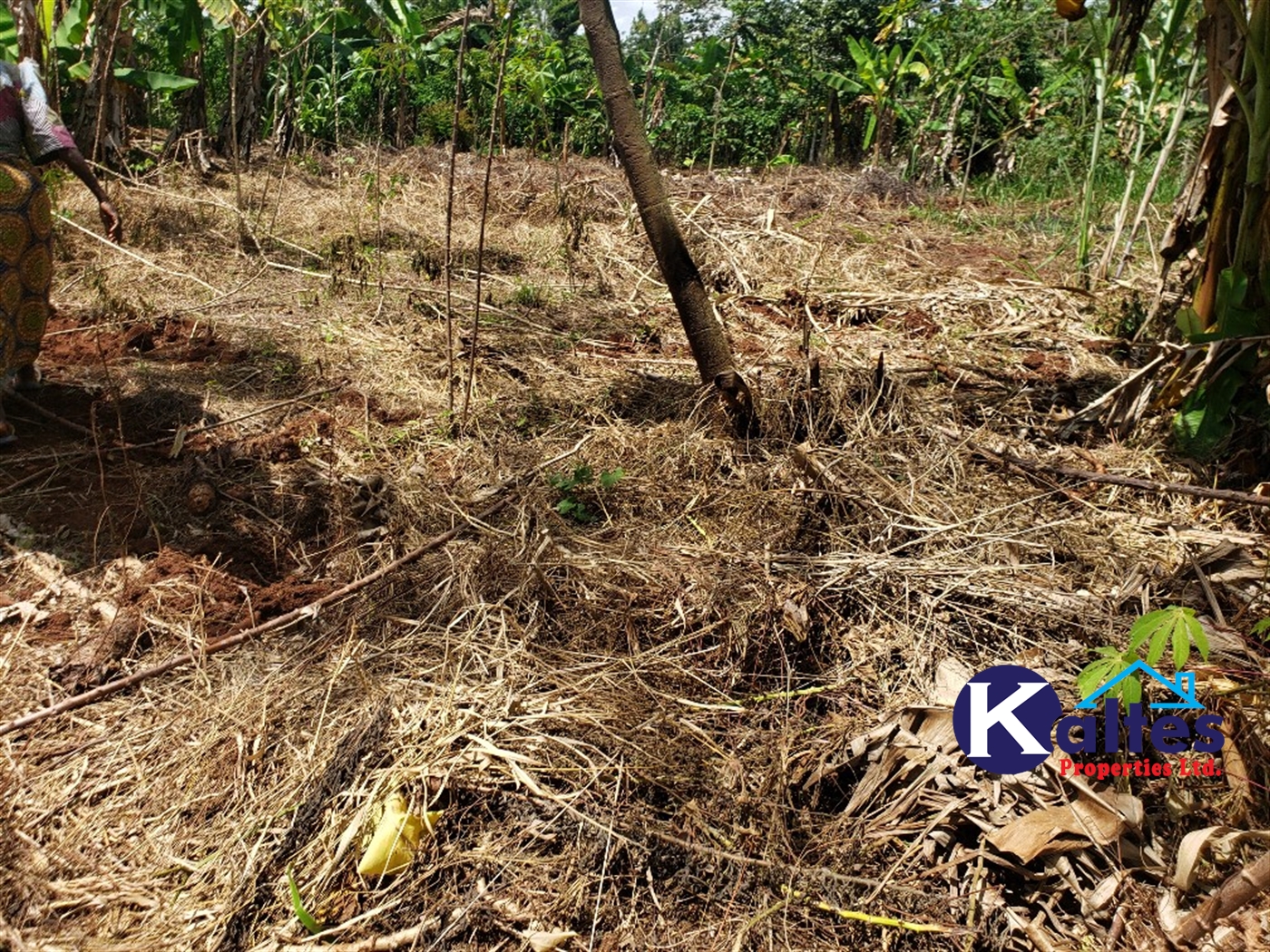 Agricultural Land for sale in Mpata Mukono