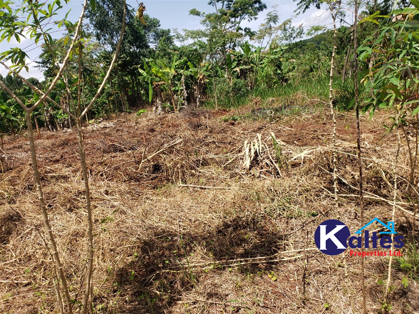 Agricultural Land for sale in Mpata Mukono