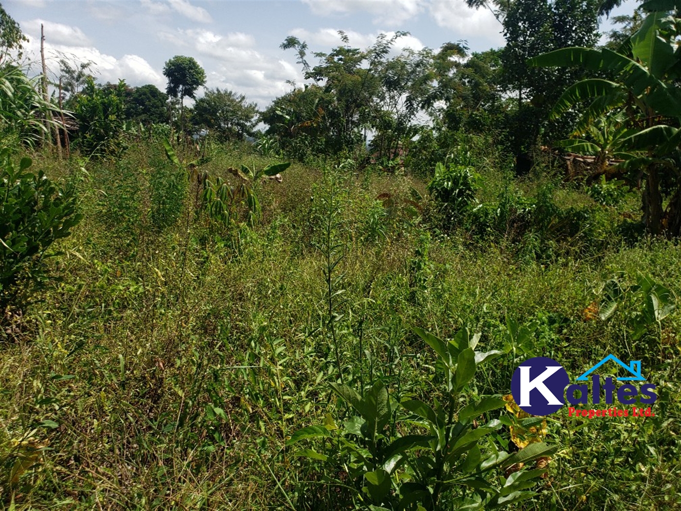 Agricultural Land for sale in Mpata Mukono