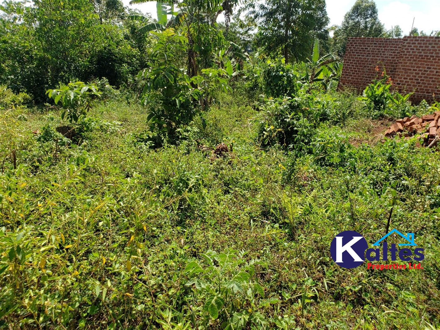 Agricultural Land for sale in Mpata Mukono