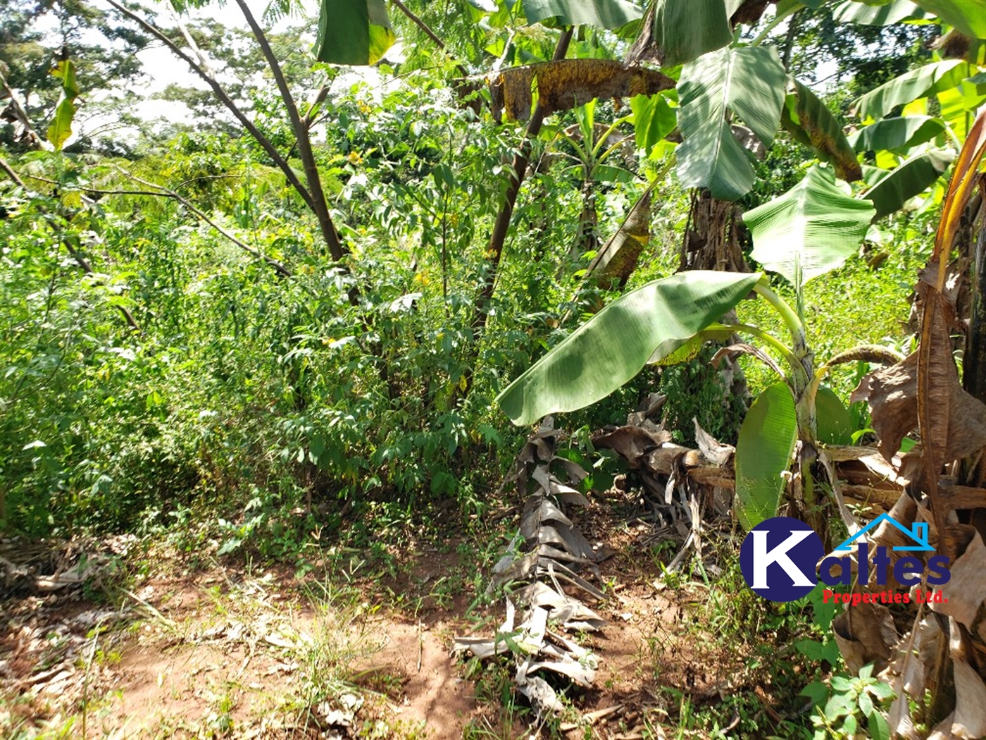 Agricultural Land for sale in Mpata Mukono