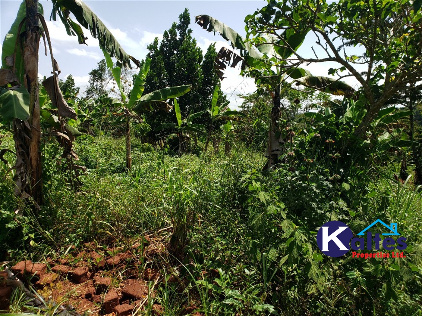 Agricultural Land for sale in Mpata Mukono