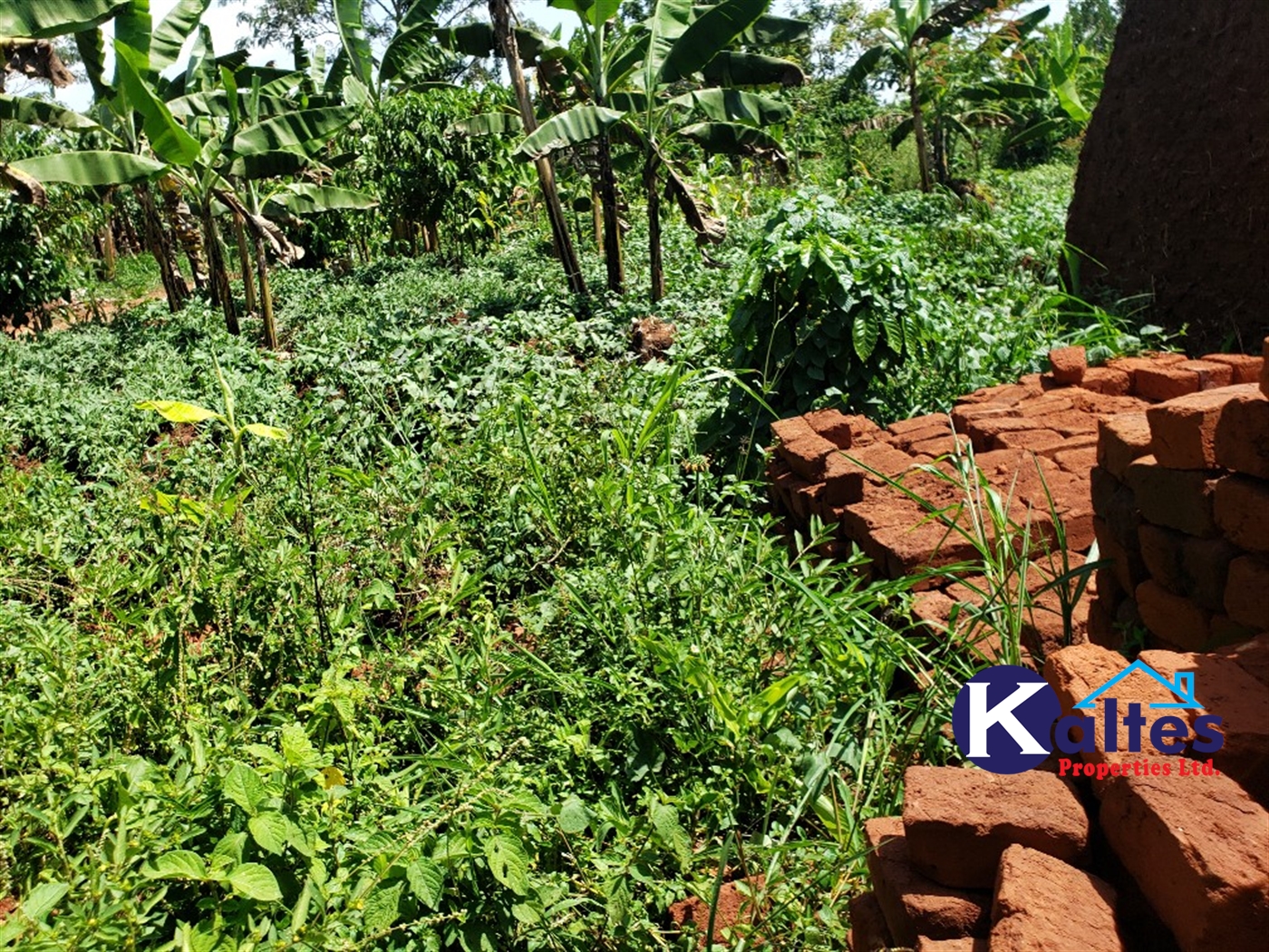 Agricultural Land for sale in Mpata Mukono