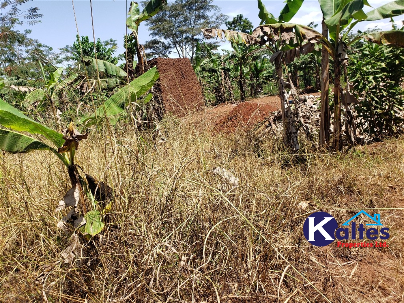 Agricultural Land for sale in Mpata Mukono