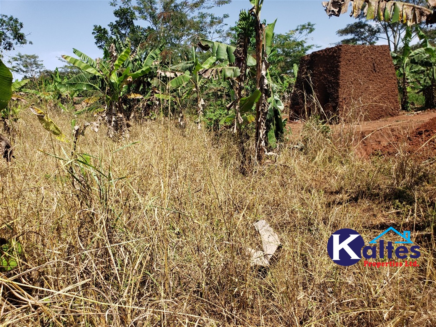 Agricultural Land for sale in Mpata Mukono