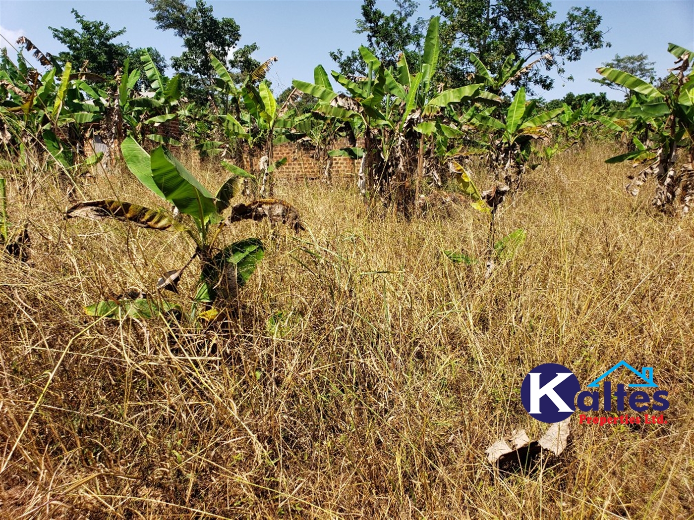 Agricultural Land for sale in Mpata Mukono