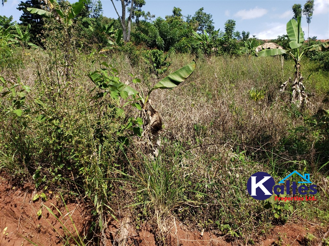 Agricultural Land for sale in Mpata Mukono