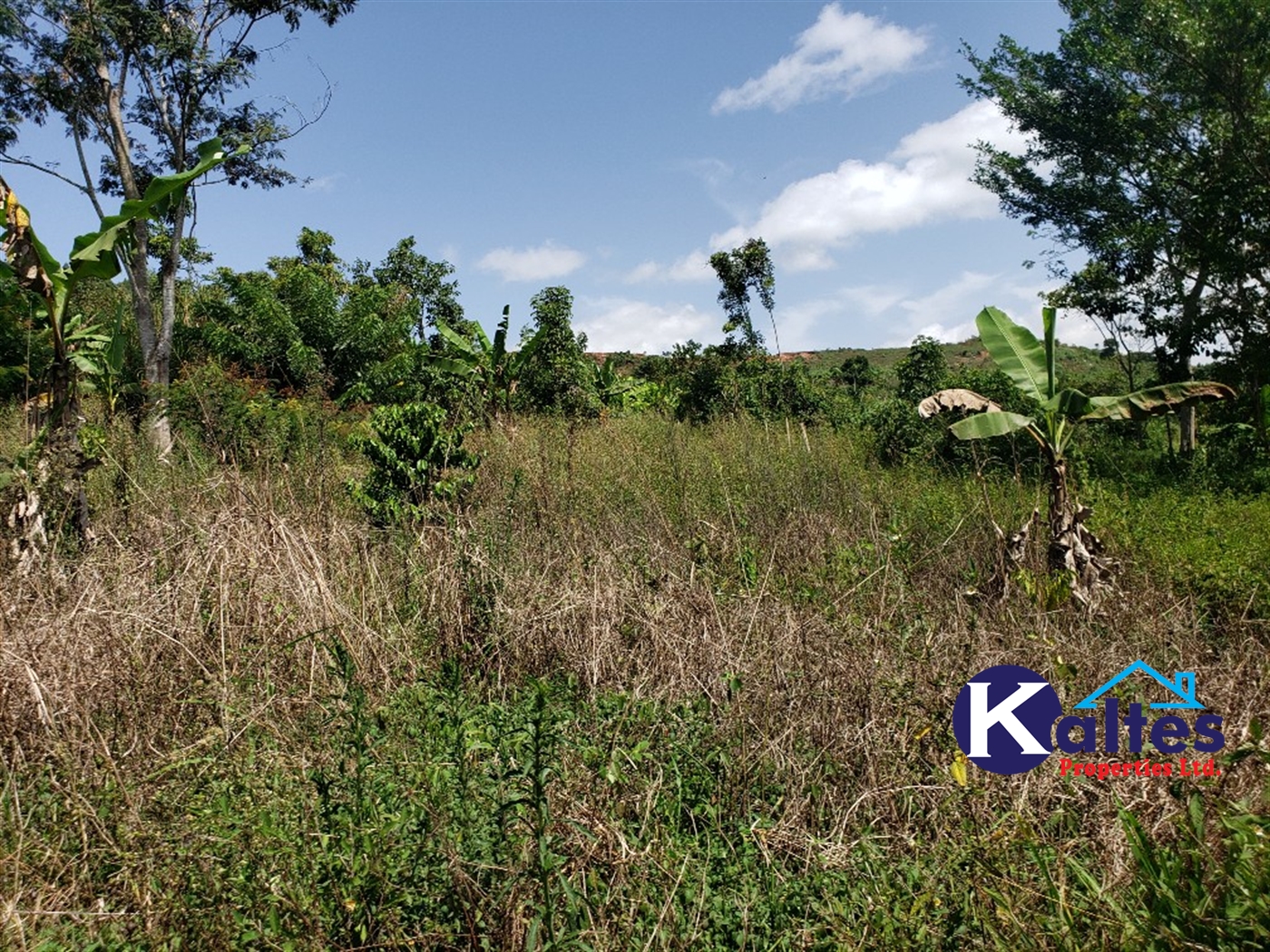 Agricultural Land for sale in Mpata Mukono