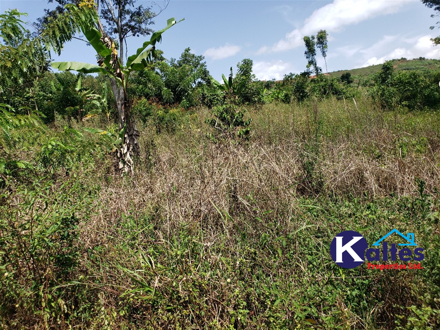 Agricultural Land for sale in Mpata Mukono