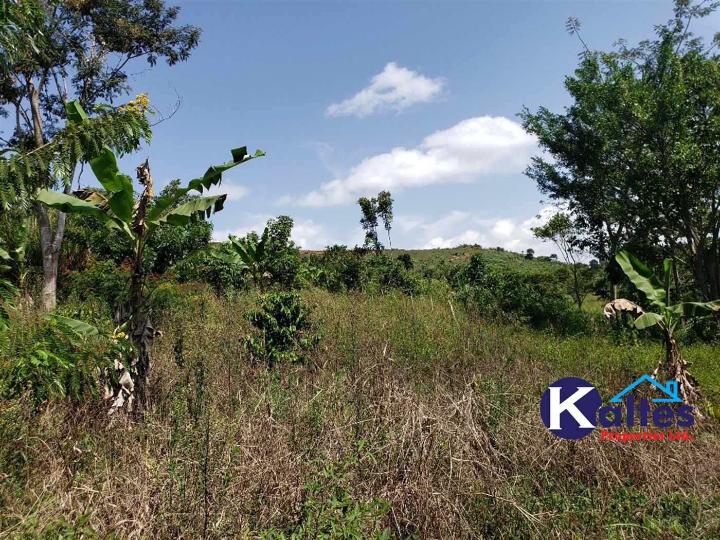 Agricultural Land for sale in Mpata Mukono