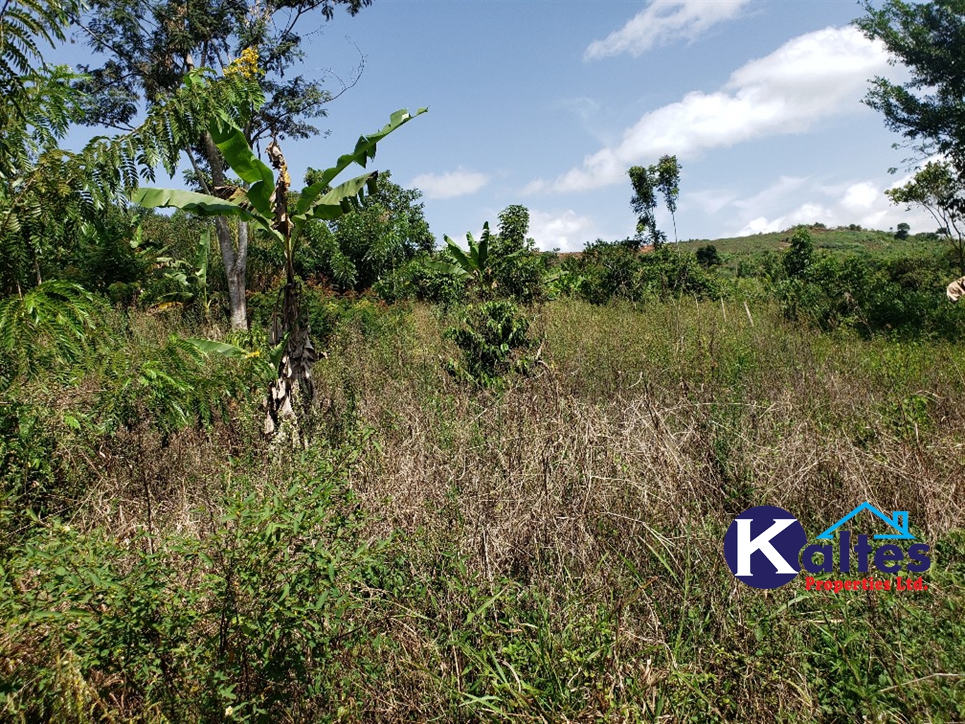 Agricultural Land for sale in Mpata Mukono