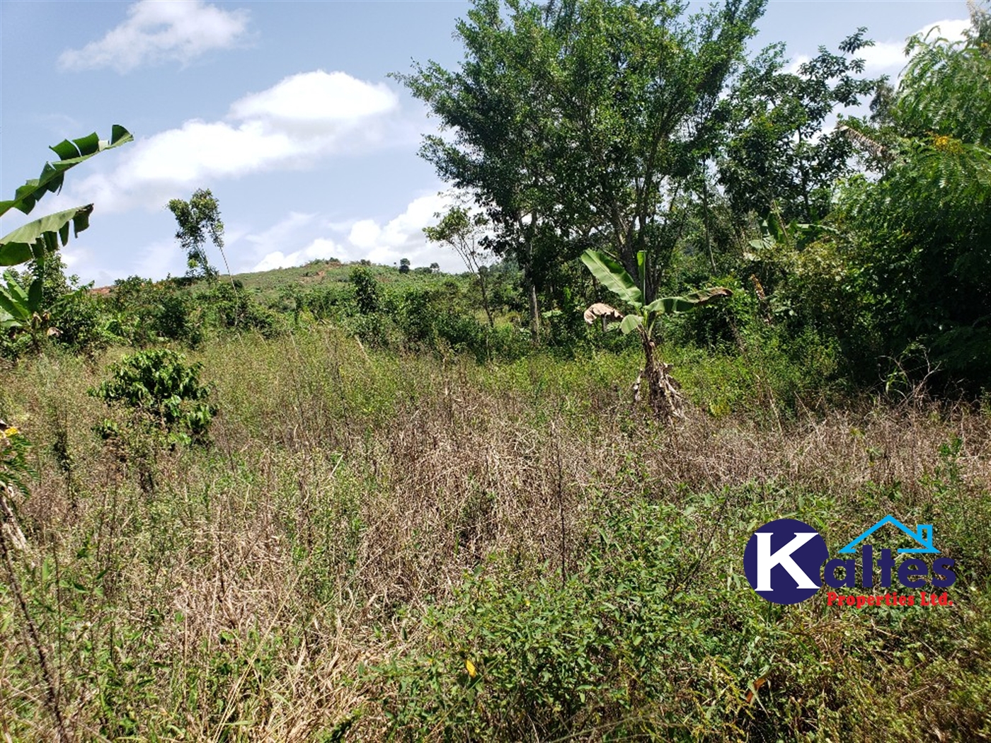 Agricultural Land for sale in Mpata Mukono