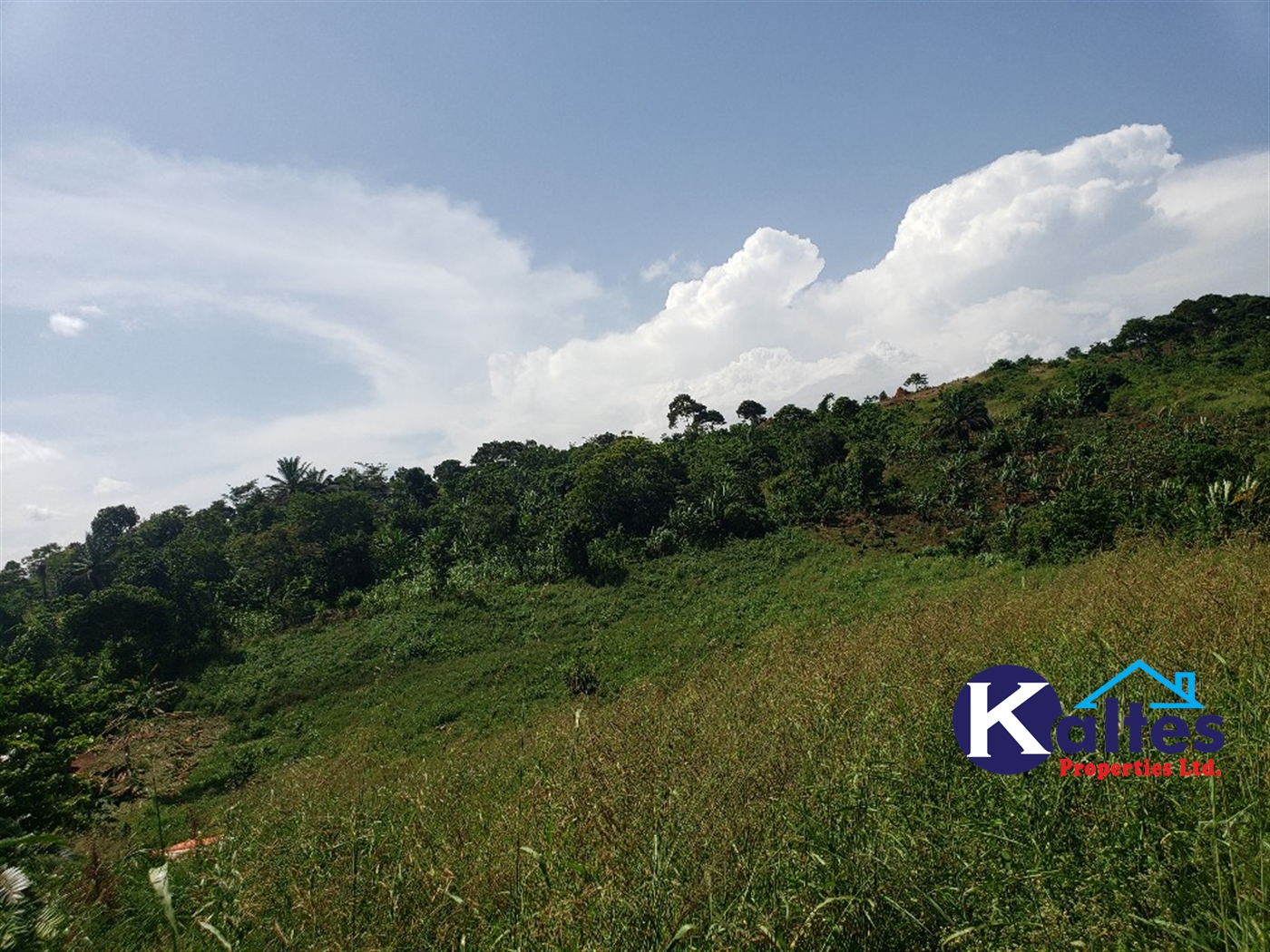 Agricultural Land for sale in Mpata Mukono