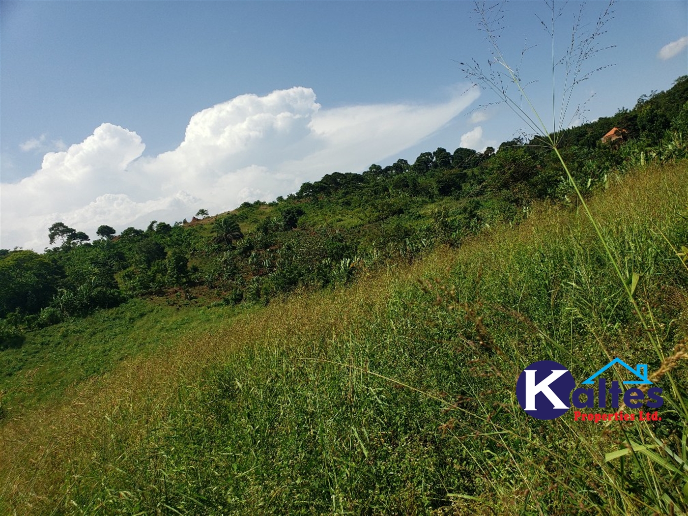 Agricultural Land for sale in Mpata Mukono