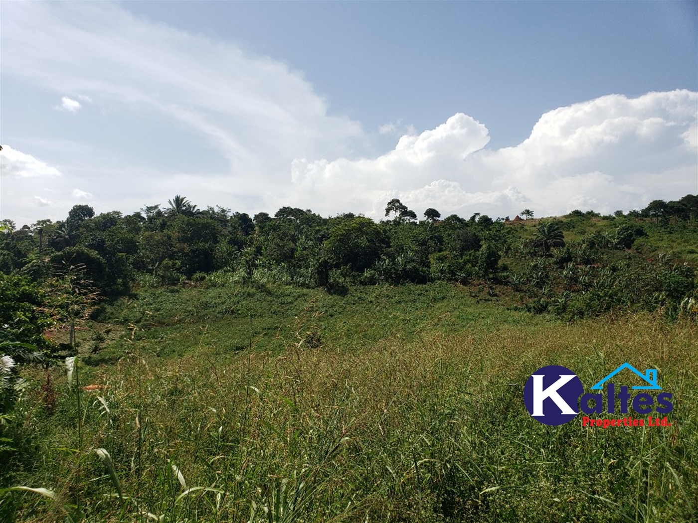 Agricultural Land for sale in Mpata Mukono