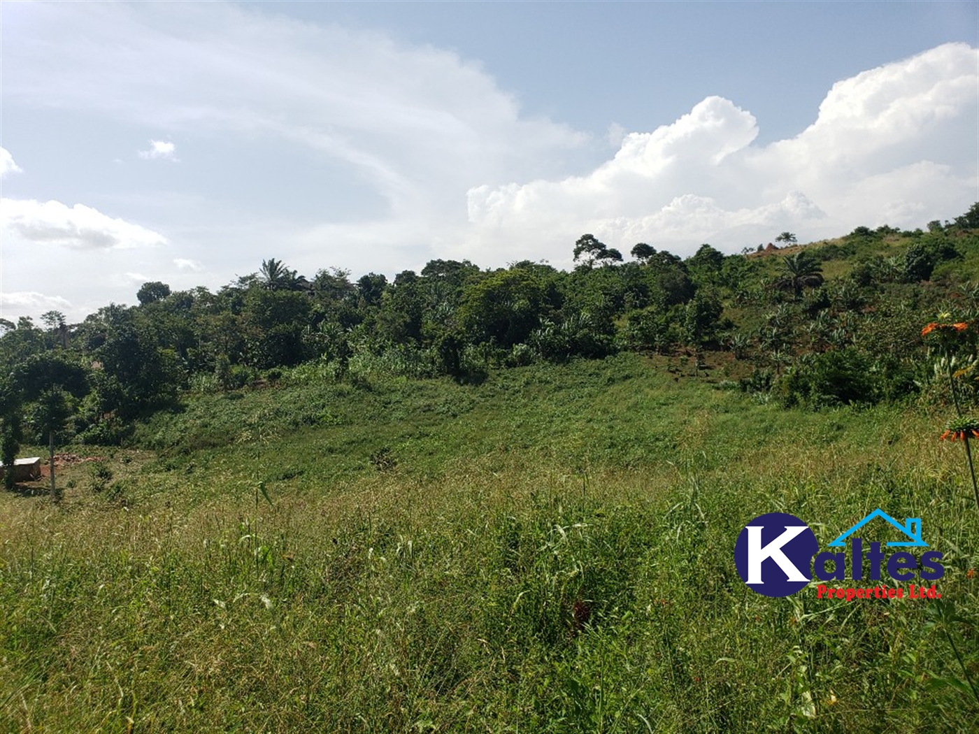 Agricultural Land for sale in Mpata Mukono