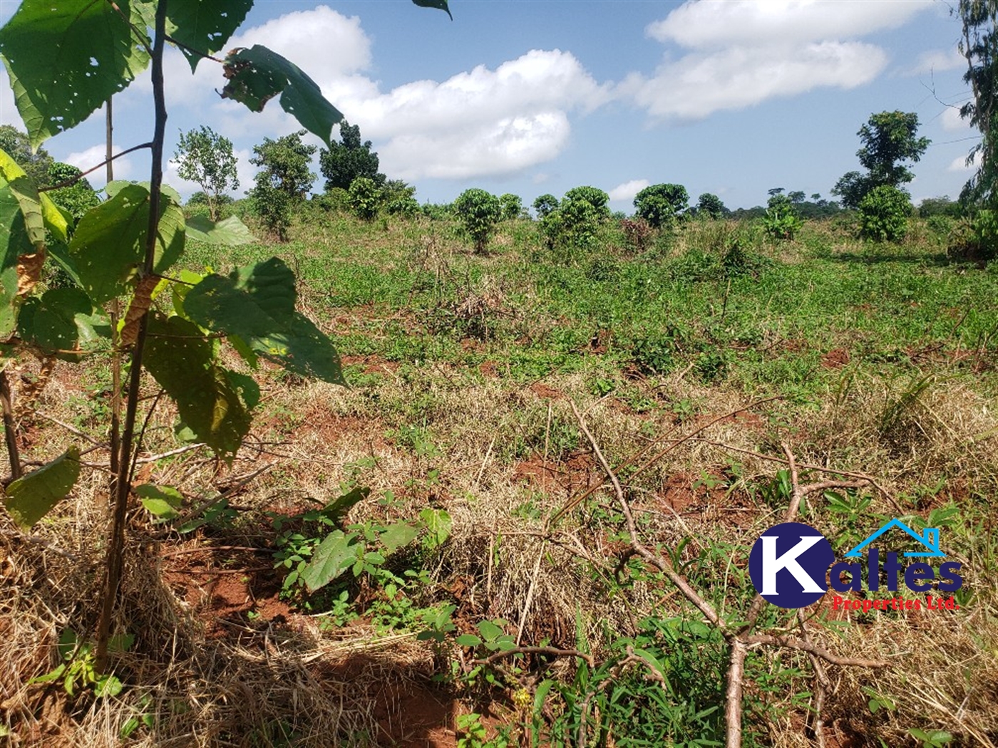 Agricultural Land for sale in Mpata Mukono