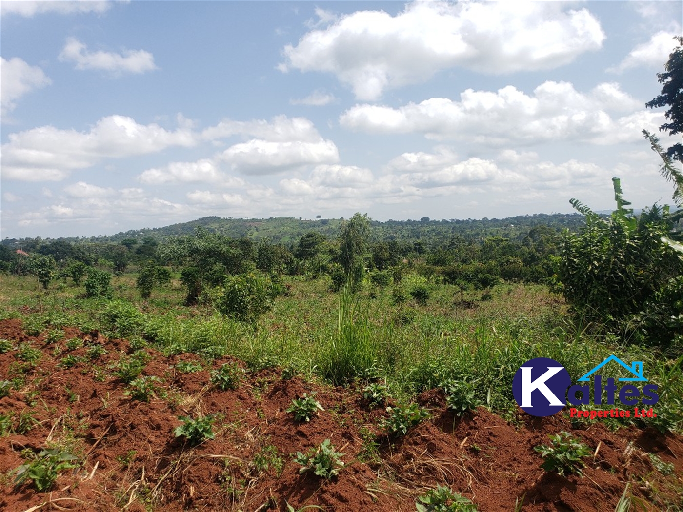 Agricultural Land for sale in Mpata Mukono