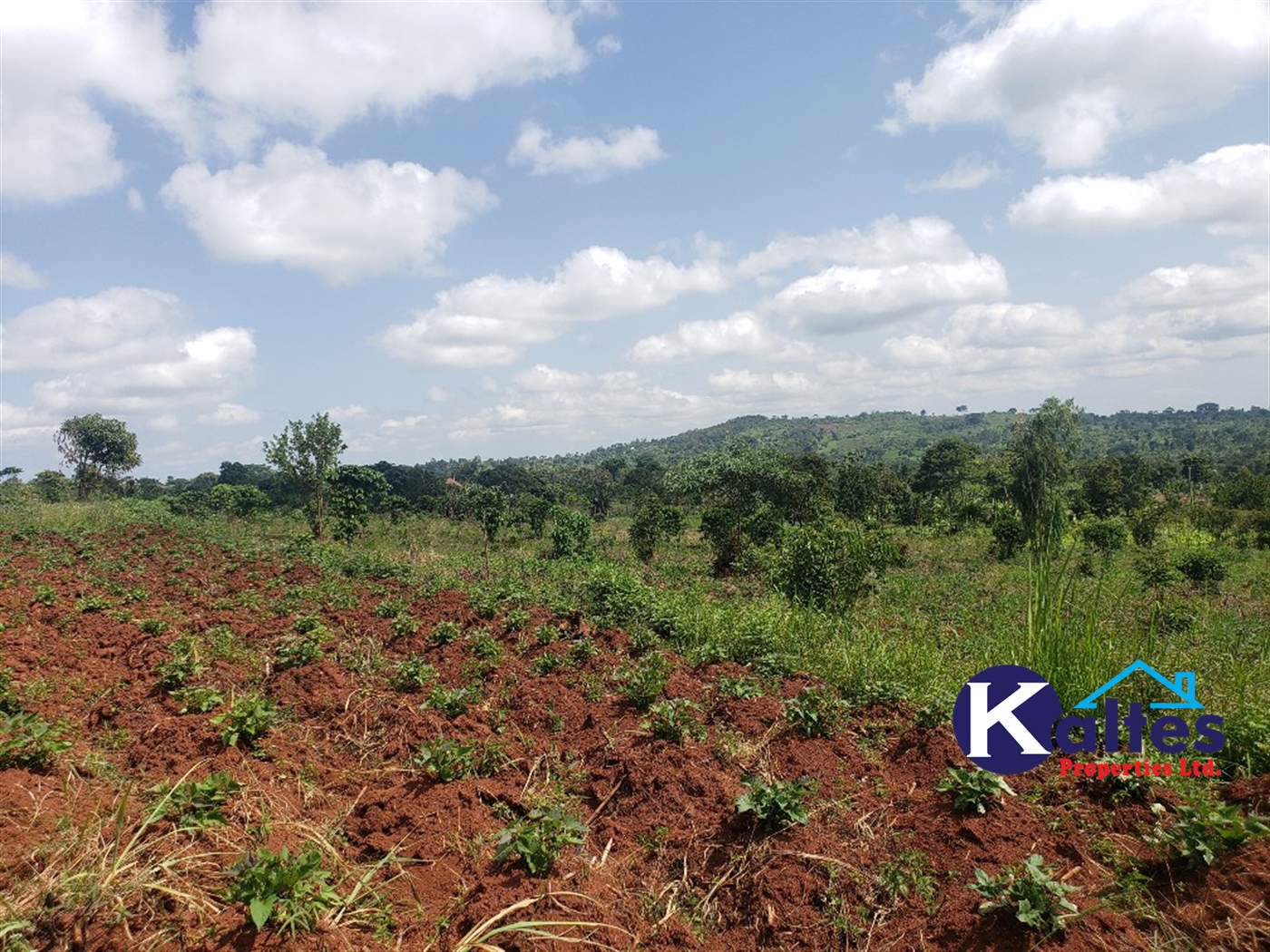 Agricultural Land for sale in Mpata Mukono