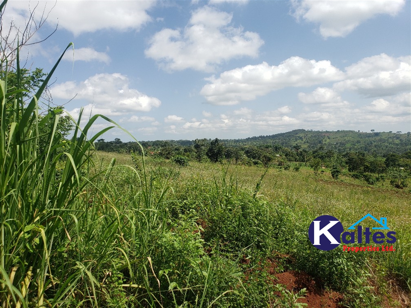 Agricultural Land for sale in Mpata Mukono