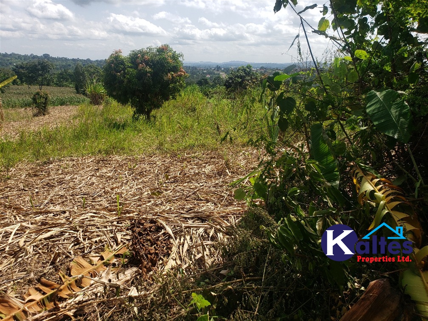 Agricultural Land for sale in Mpata Mukono