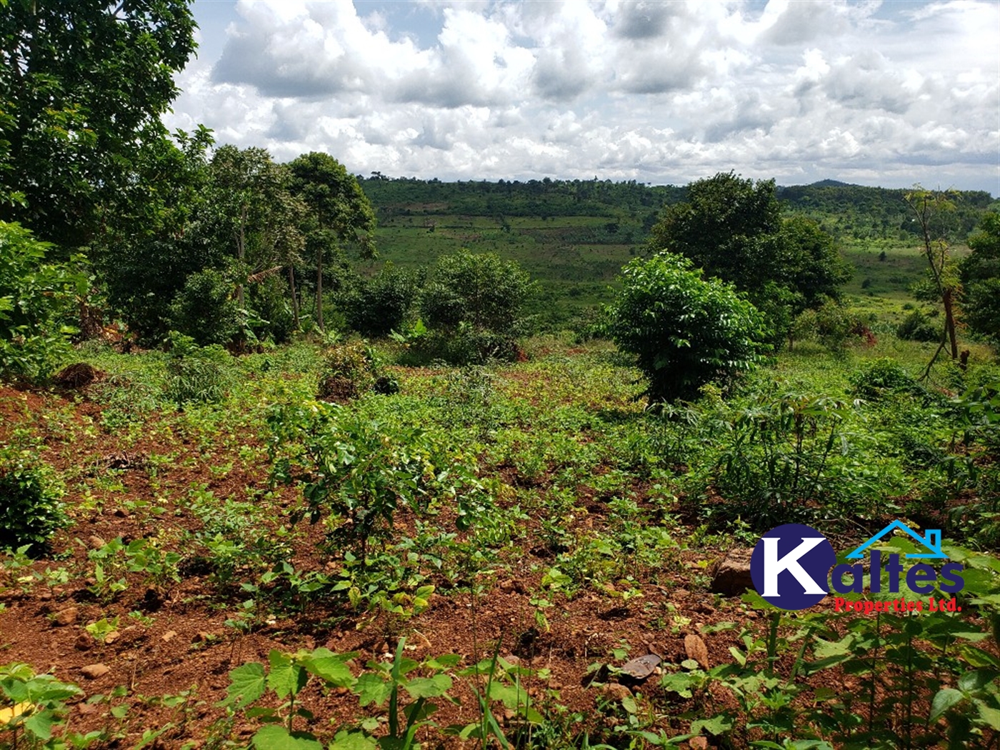 Agricultural Land for sale in Mpata Mukono