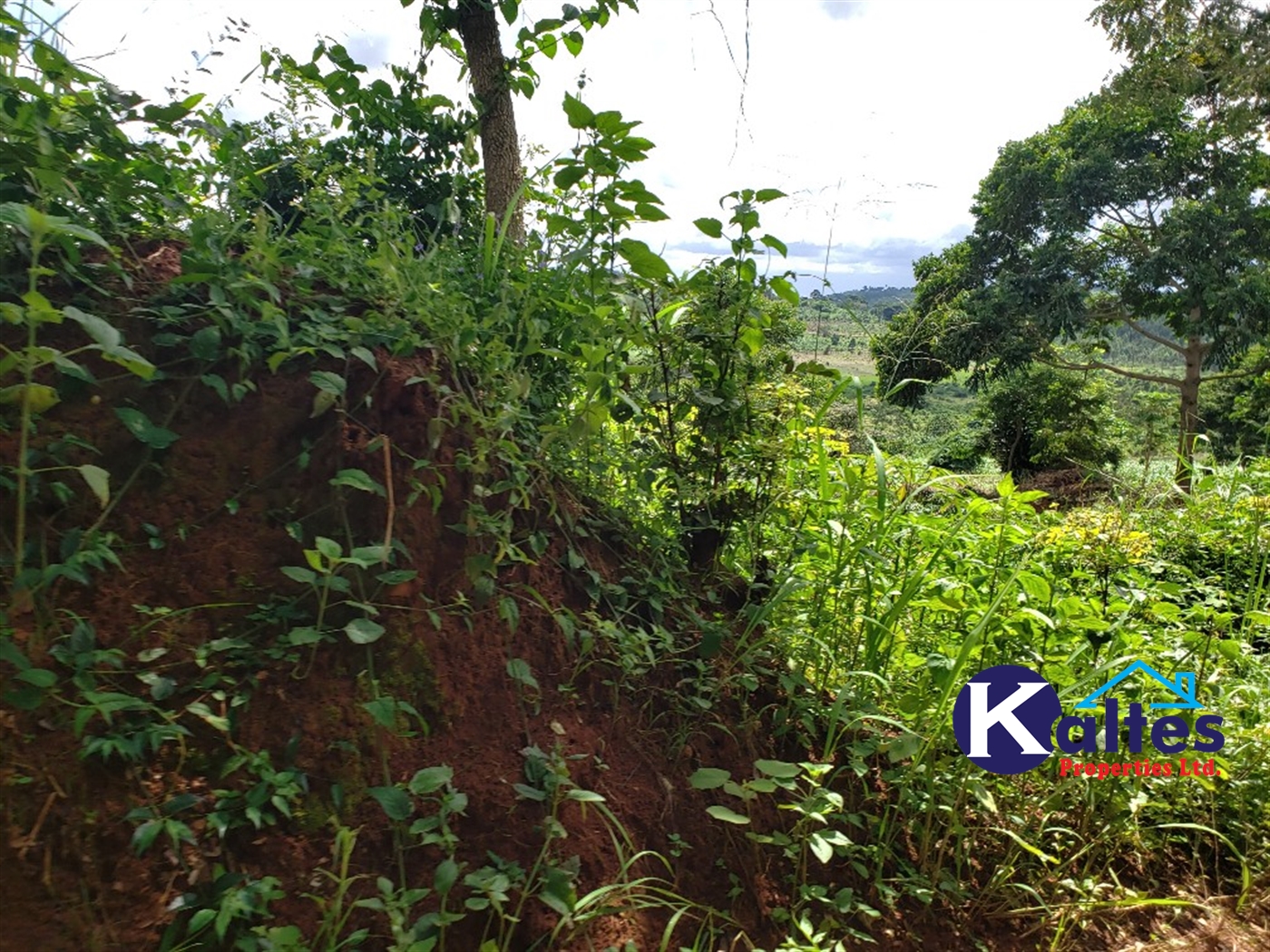 Agricultural Land for sale in Mpata Mukono