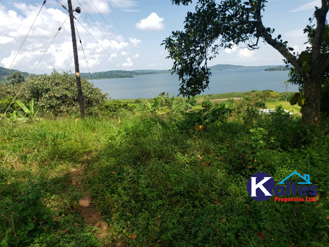 Residential Land for sale in Mpata Mukono
