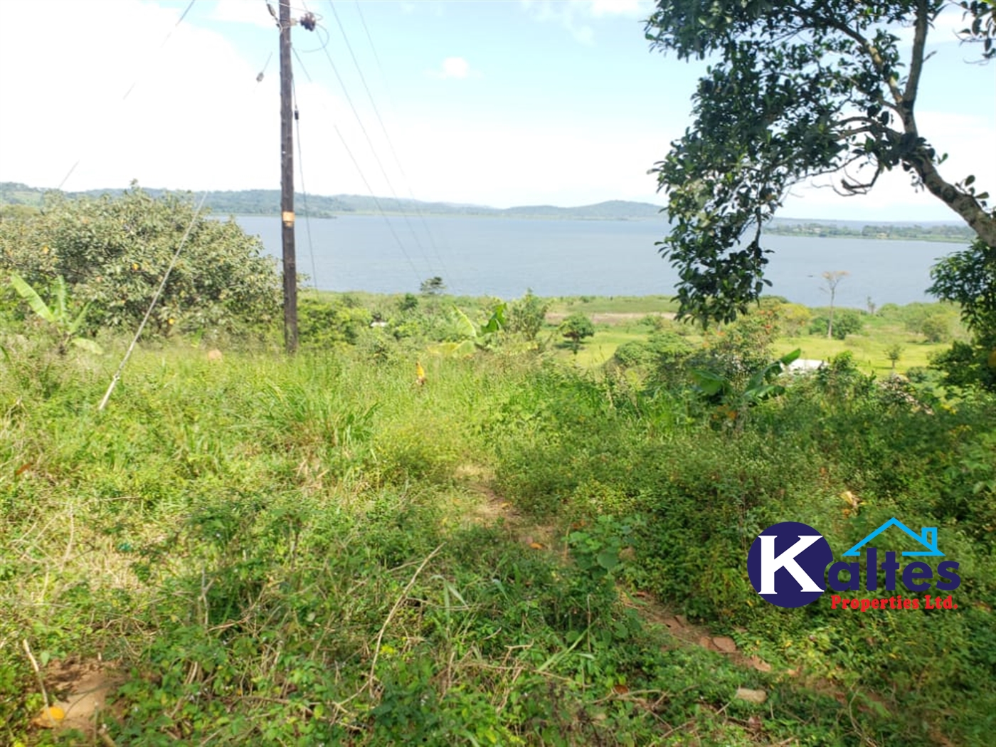 Residential Land for sale in Mpata Mukono