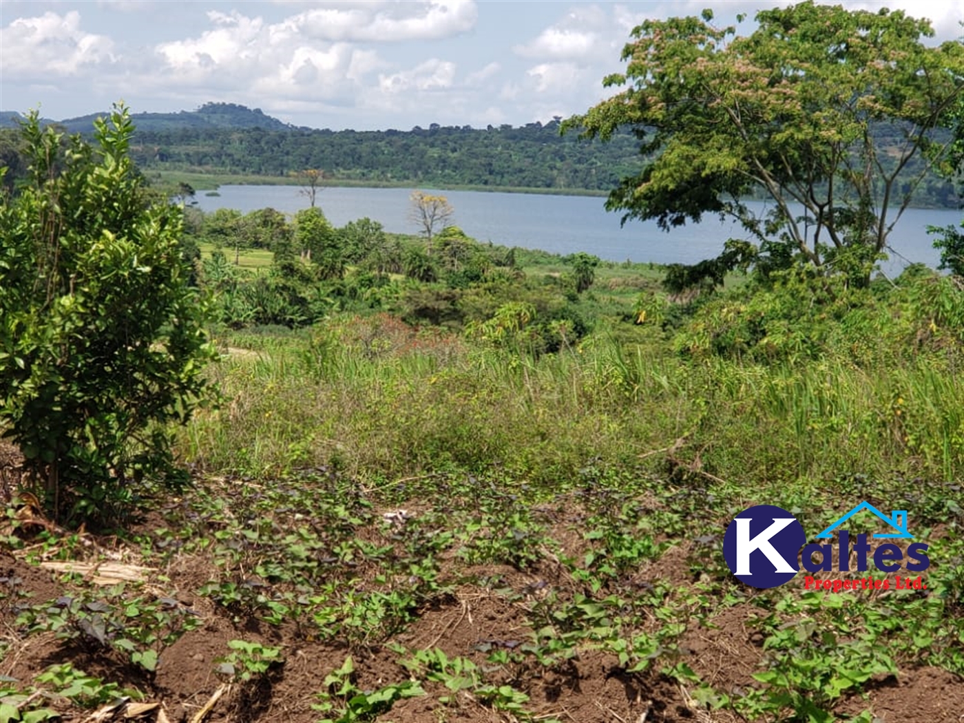 Residential Land for sale in Mpata Mukono