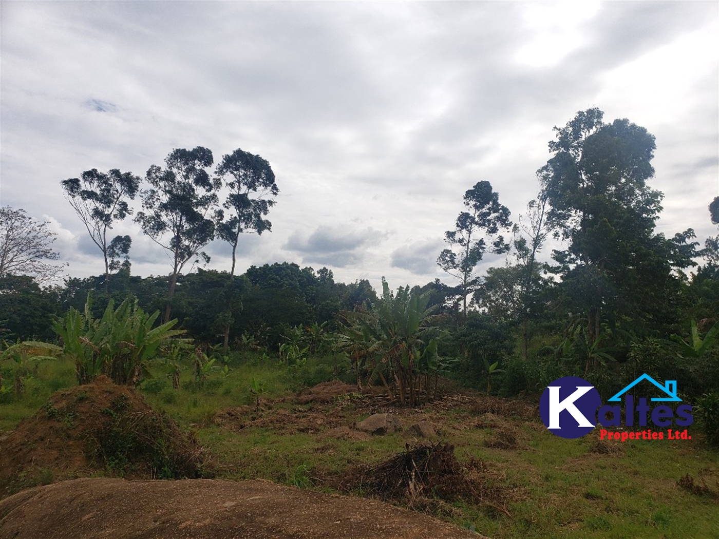 Agricultural Land for sale in Mpata Mukono