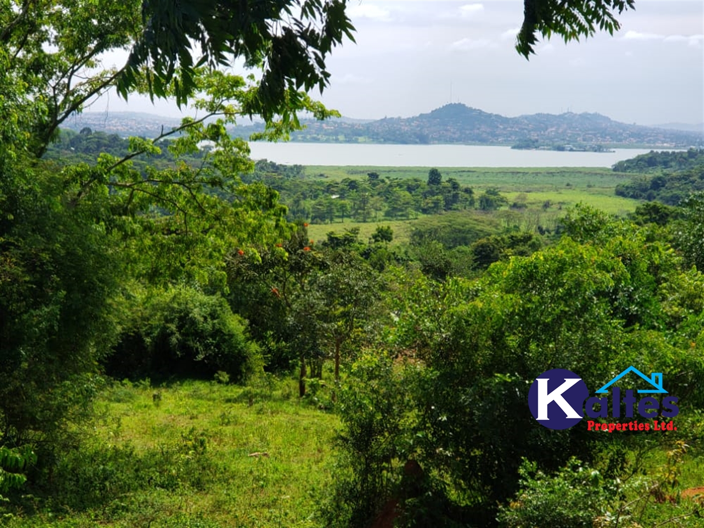 Residential Land for sale in Mpata Mukono