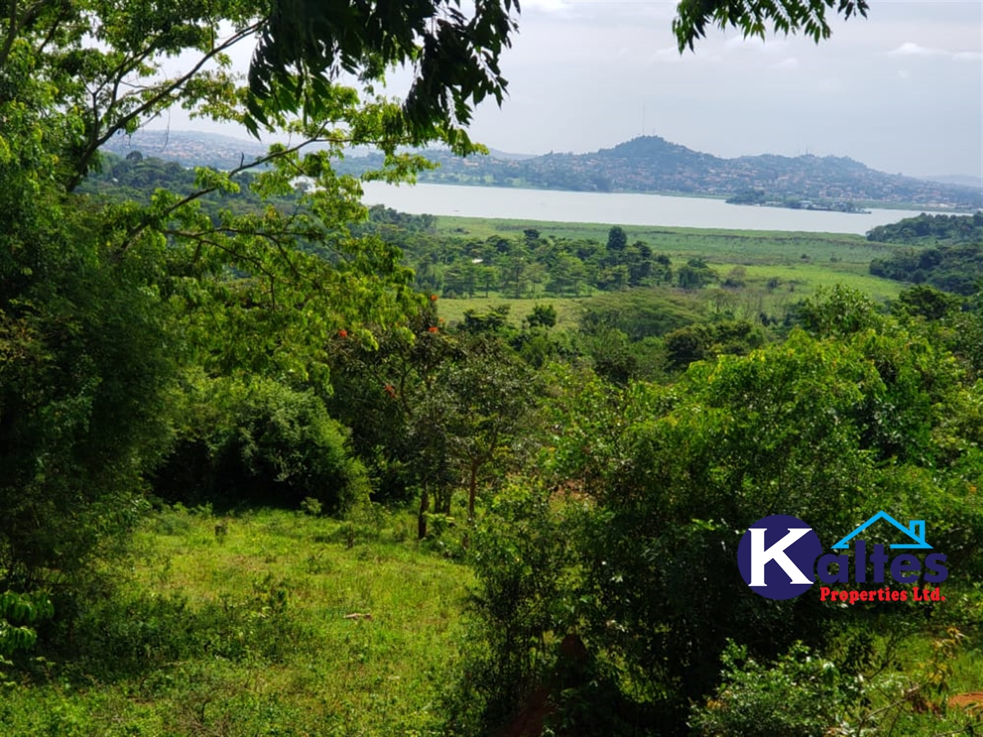 Residential Land for sale in Mpata Mukono