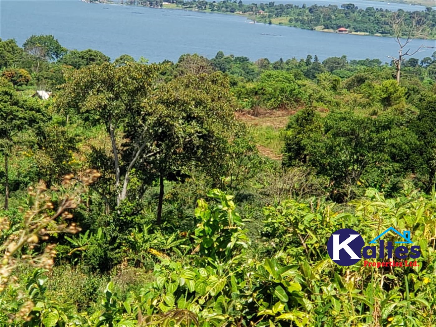 Residential Land for sale in Makindu Buyikwe