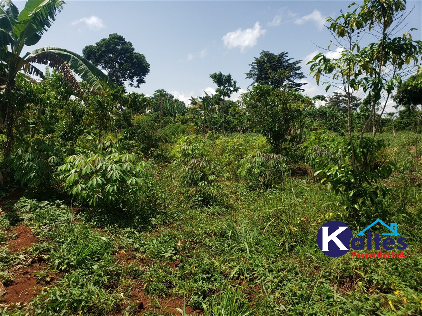 Agricultural Land for sale in Mpata Mukono